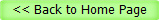 << Back to Home Page